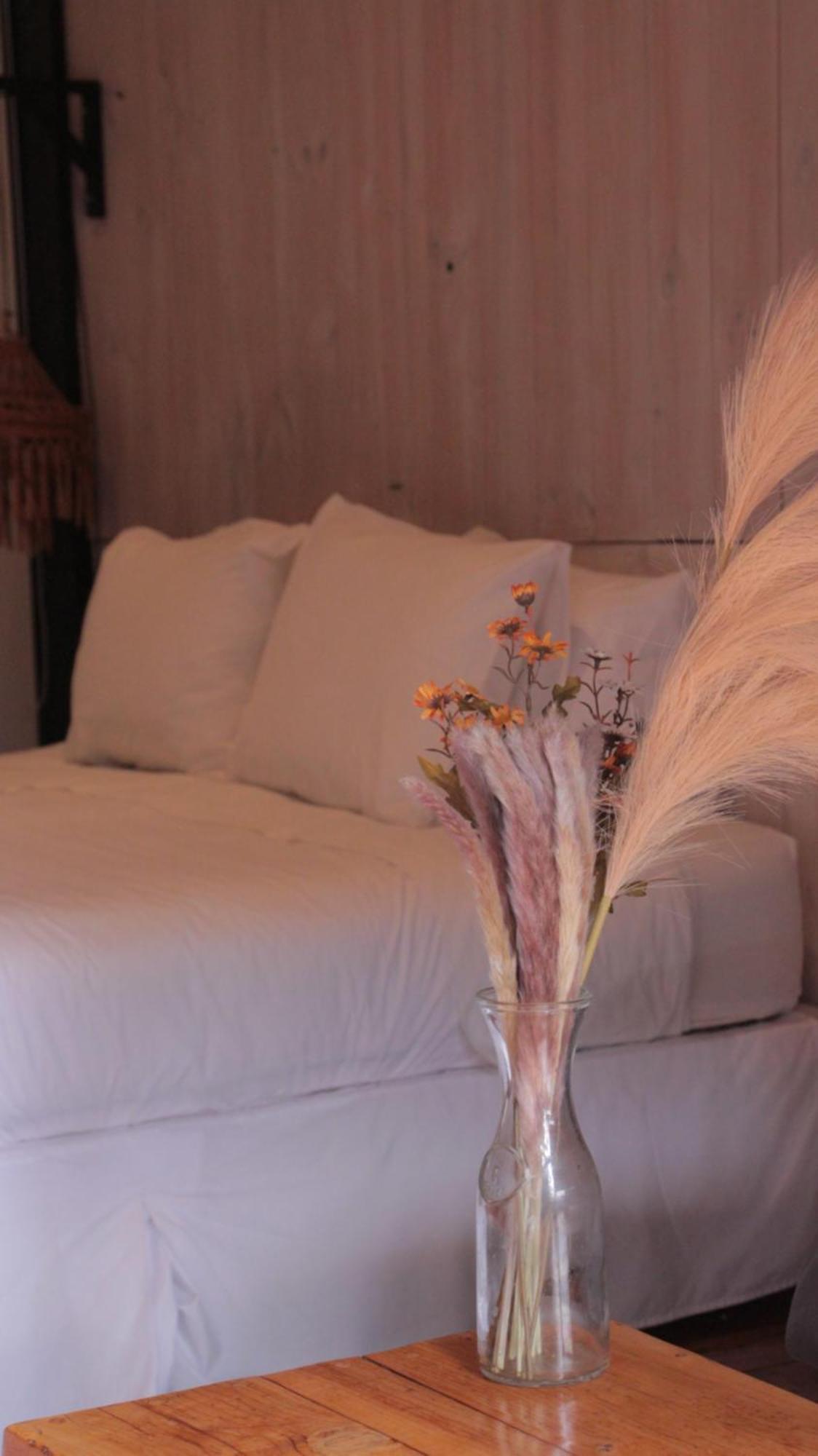Surf Lodge Punta De Lobos Pichilemu Exterior foto